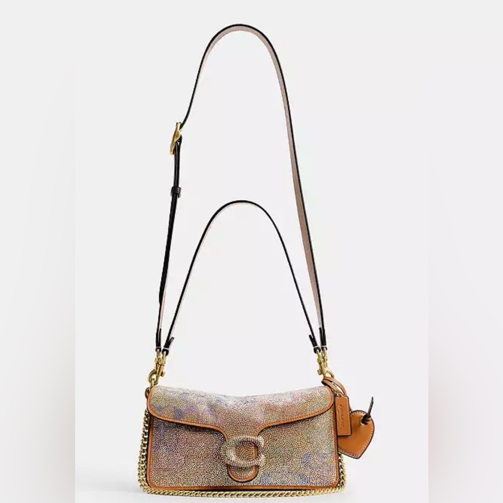 Coach Rainbow Crystal Tabby 26